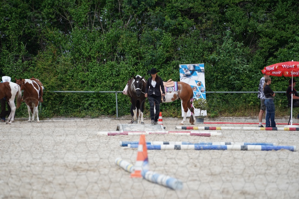 s_A9_06501.jpg
